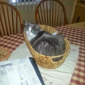 Meet your Posher, John